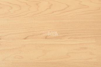 Линолеум Apoluza Sportfloor pvc Wood 6.5 Дерево фото 1 | FLOORDEALER